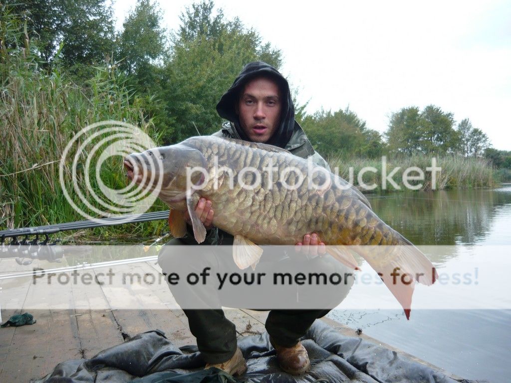 Imagine