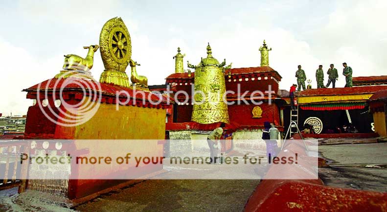 Posted Image