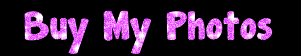 photo Buy My Photos_zpsnolfoqxh.gif