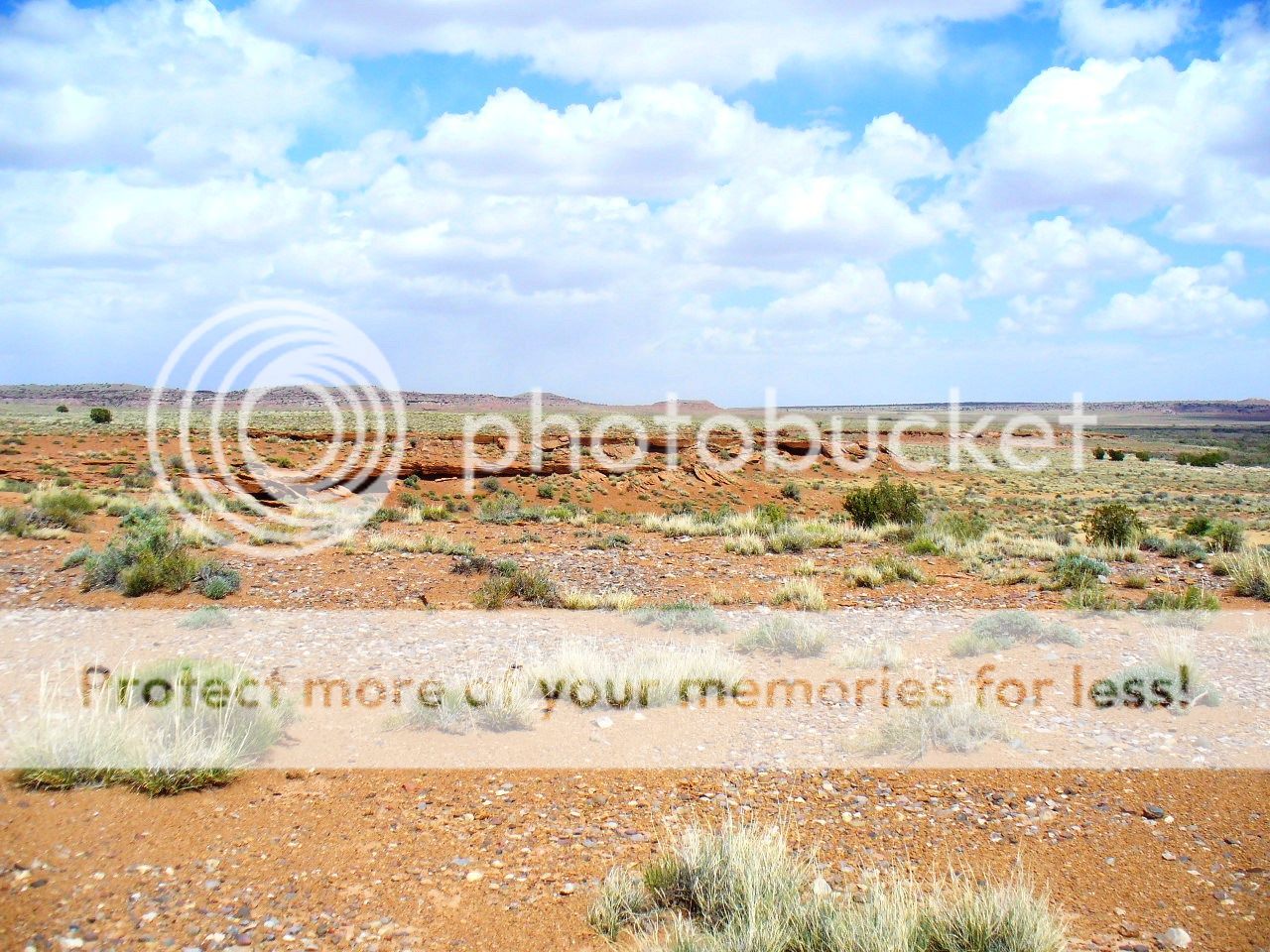 rock hounding in desert 1 photo 007_zps036a0d3d.jpg