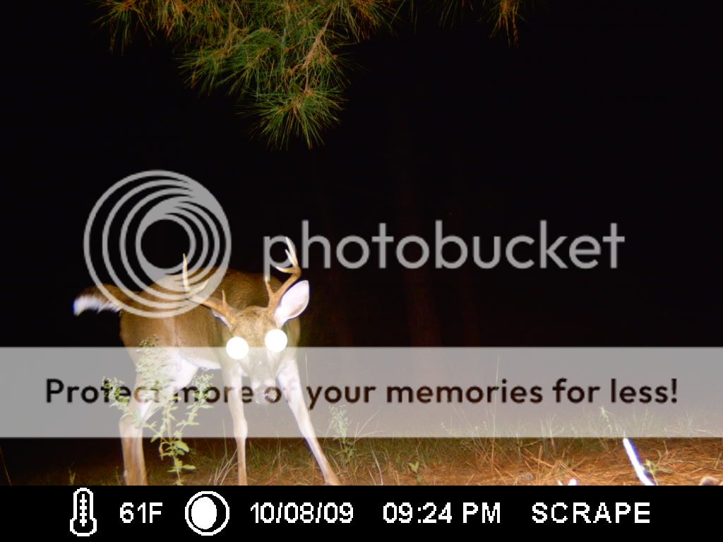 ICAM0003.jpg