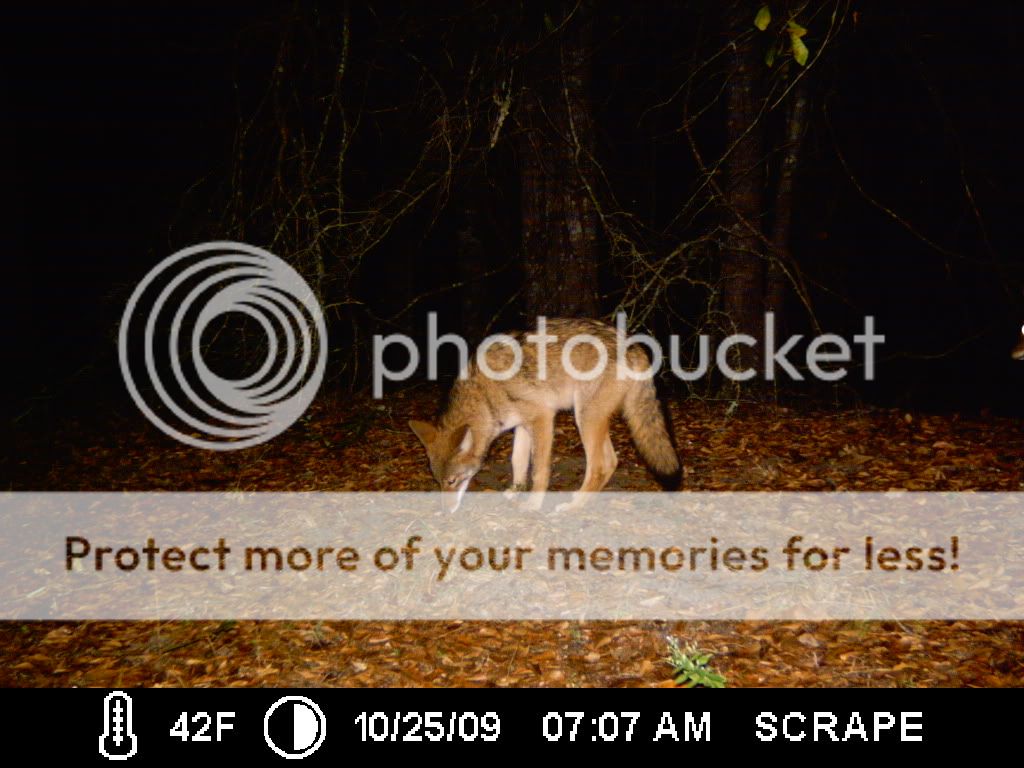 ICAM0004.jpg