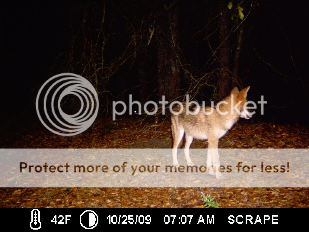 ICAM0005.jpg