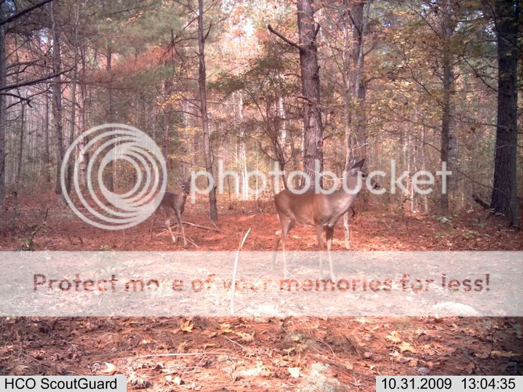 IM000074.jpg