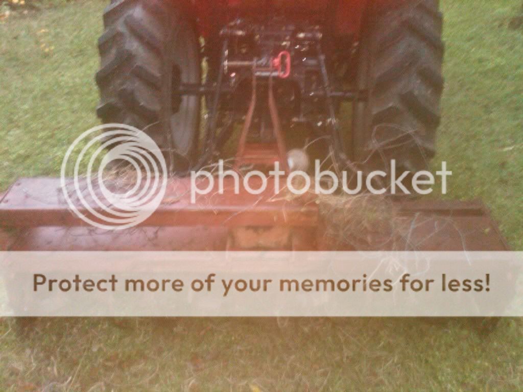 IMG00027-20100424-1946.jpg