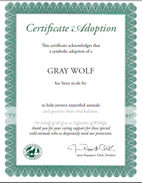 Wolfadoption_zps4afc5afc.png