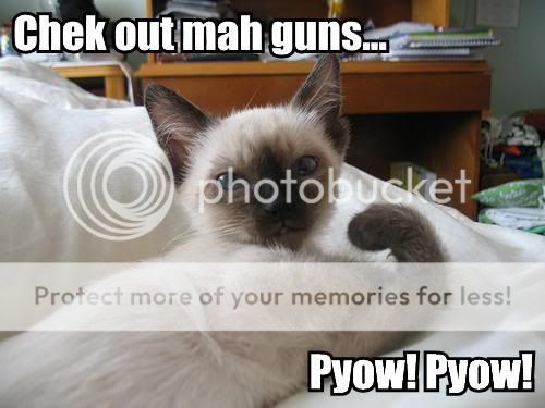lol-cats_gheck-out-my-guns.jpg